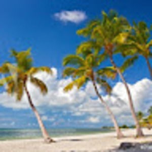 Meet your Posher, Keri